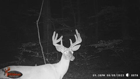 3874 Barkers Ridge Road Sutton WV 26601