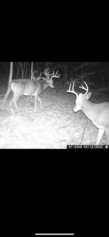 3874 Barkers Ridge Road Sutton WV 26601