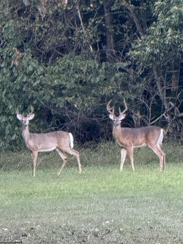 3874 Barkers Ridge Road Sutton WV 26601