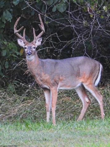 3874 Barkers Ridge Road Sutton WV 26601