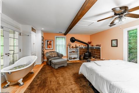 754 Saint Leo Road Burton WV 26562