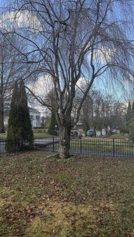 340 Buckhannon Avenue Clarksburg WV 26301