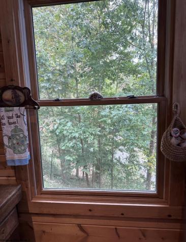 717 Lakeview Drive Horner WV 26372
