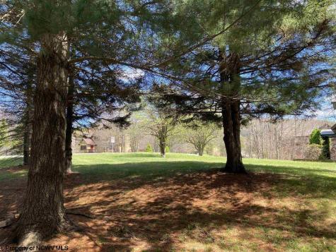 2524 Timberline Road Davis WV 26260