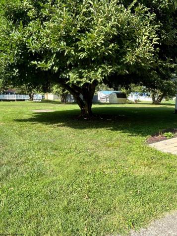 42 Island Avenue Buckhannon WV 26201