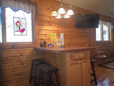 102 Northern Trail Snowshoe WV 26291