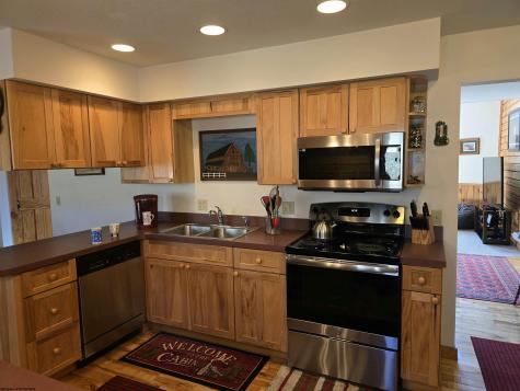 102 Northern Trail Snowshoe WV 26291