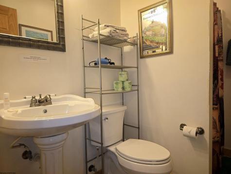 102 Northern Trail Snowshoe WV 26291