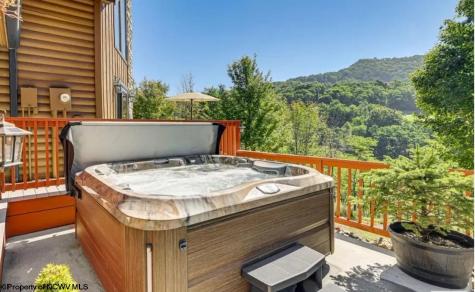 102 Northern Trail Snowshoe WV 26291