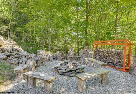 102 Northern Trail Snowshoe WV 26291