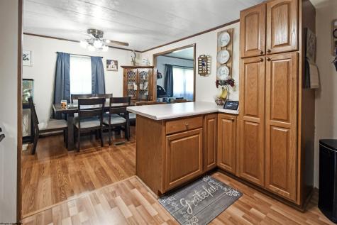 138 Springdale Street Grafton WV 26534-000