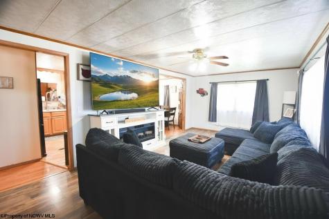138 Springdale Street Grafton WV 26534-000