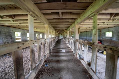 1358 N Preston Highway Kingwood WV 26537