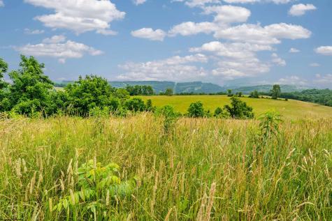 1358 N Preston Highway Kingwood WV 26537