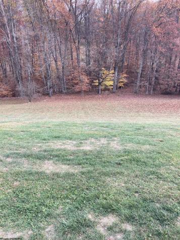 86 Ashley Lane Buckhannon WV 26201