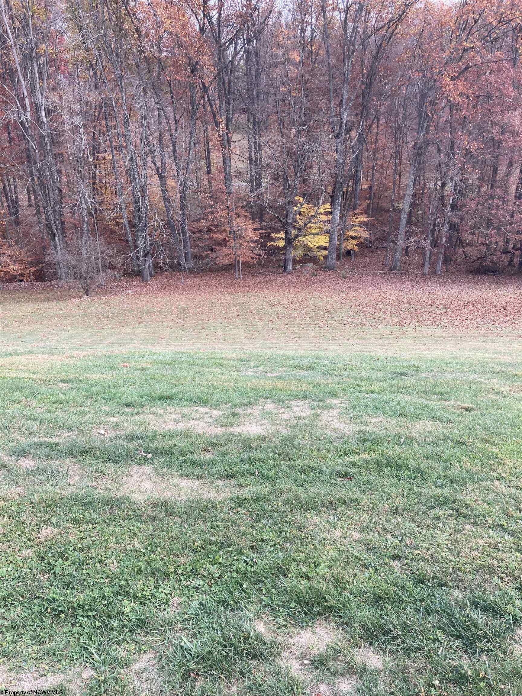 86 Ashley Lane Buckhannon WV 26201