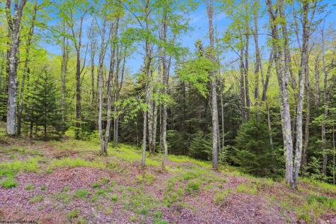 809 Lakeview Road Davis WV 26260