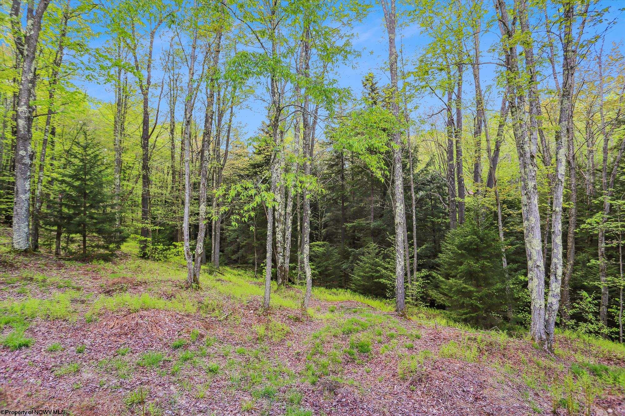 809 Lakeview Road Davis WV 26260