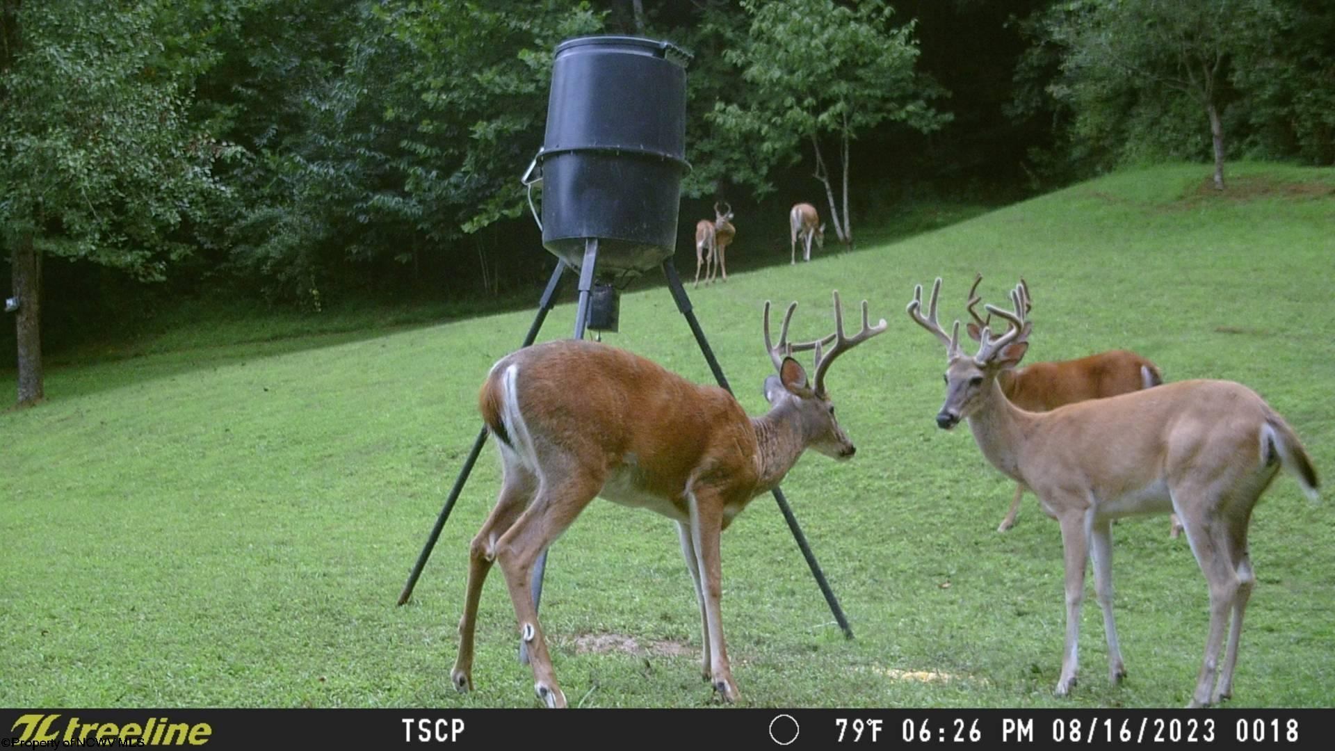 9467 Exchange Road Exchange WV 26619