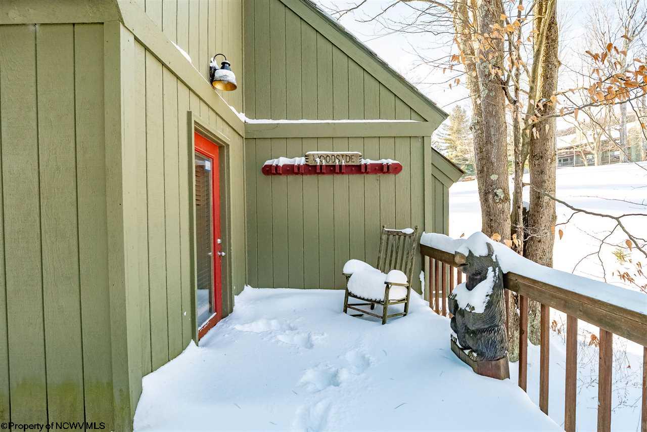 21 Honey Pot Lane Davis WV 26260