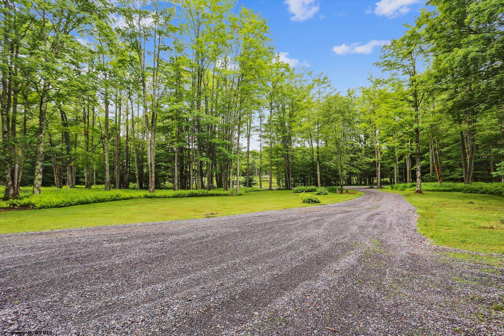 350 Maple Lane Davis WV 26260