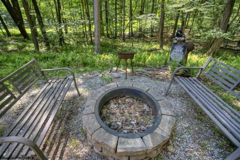 249 Pond Lily Lane Terra Alta WV 26764