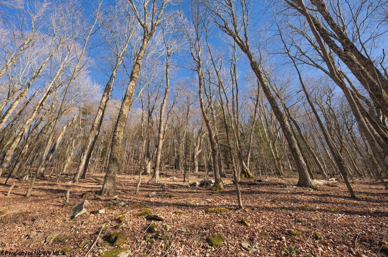1889 Cora Lane Bowden WV 26254