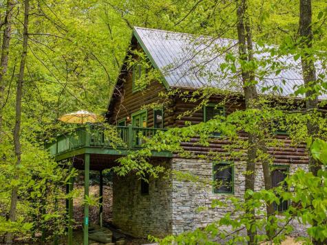 1 Ginger Court Terra Alta WV 26764