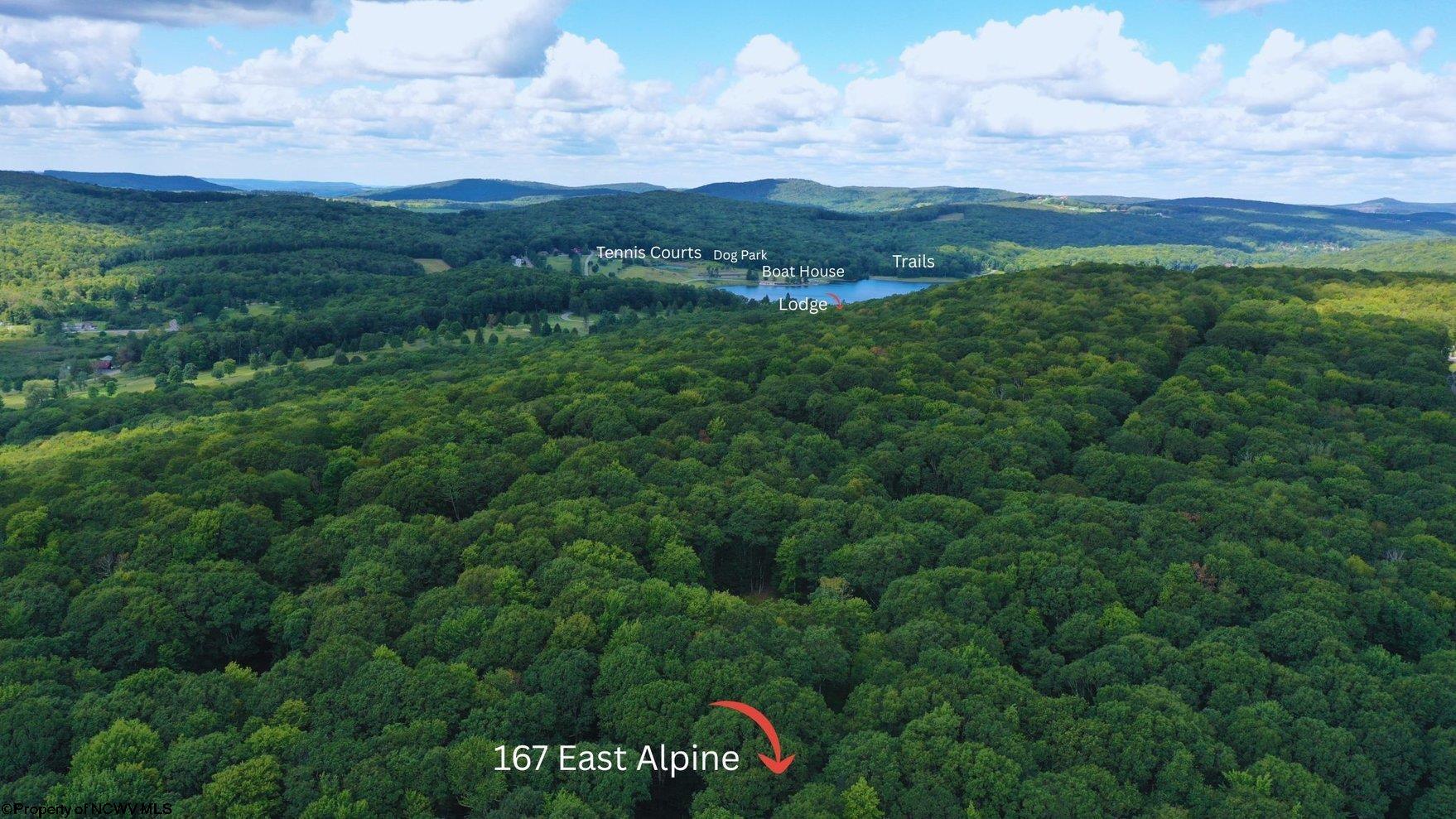 671 E Alpine Drive Terra Alta WV 26764