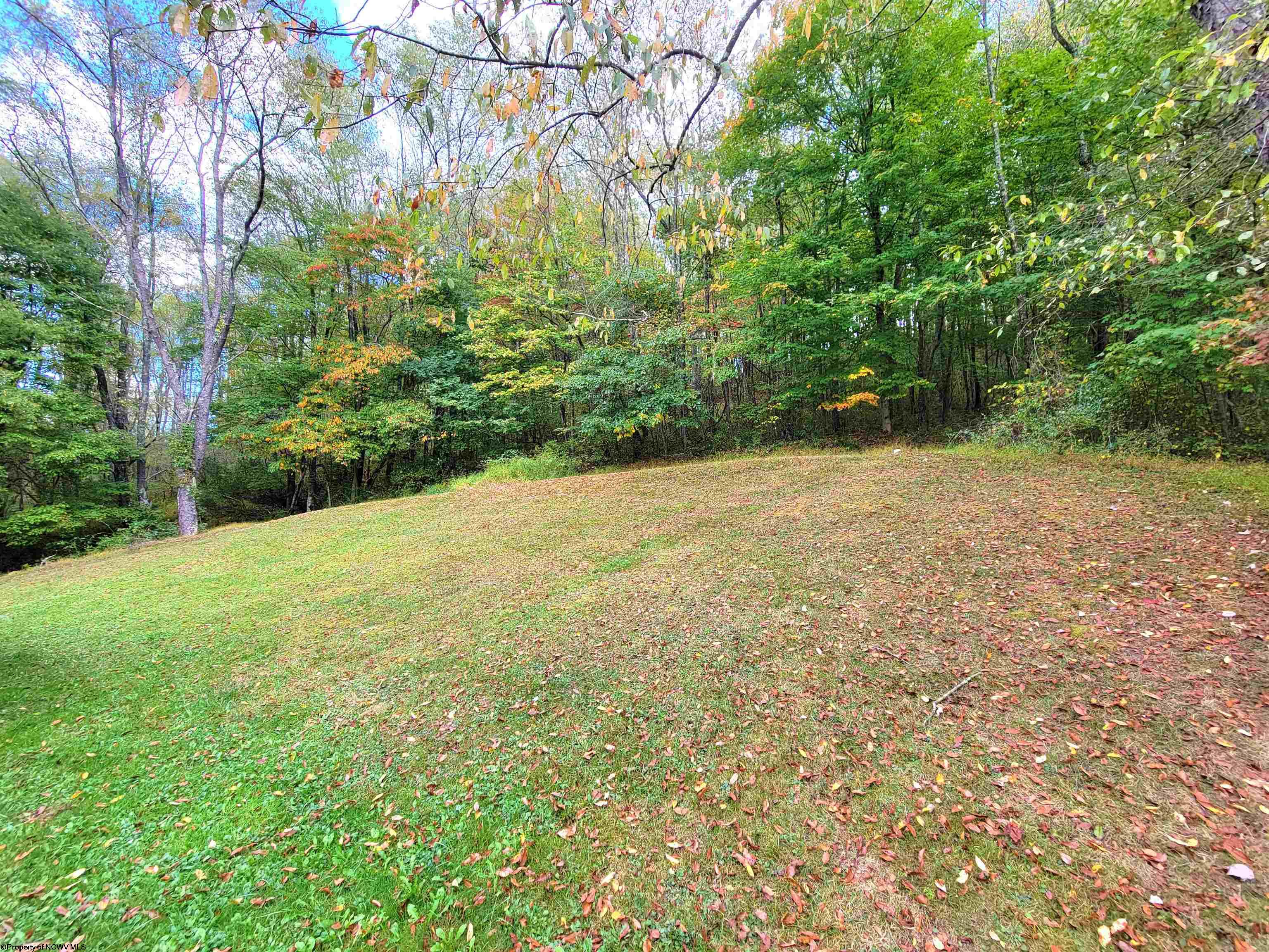 3818 Little Sandy Road Bruceton Mills WV 26525