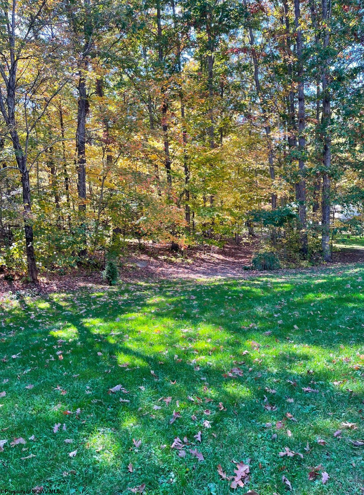 55 West Drive Bruceton Mills WV 26525