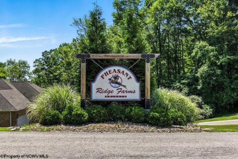 263 Pheasant Ridge Road Bridgeport WV 26330