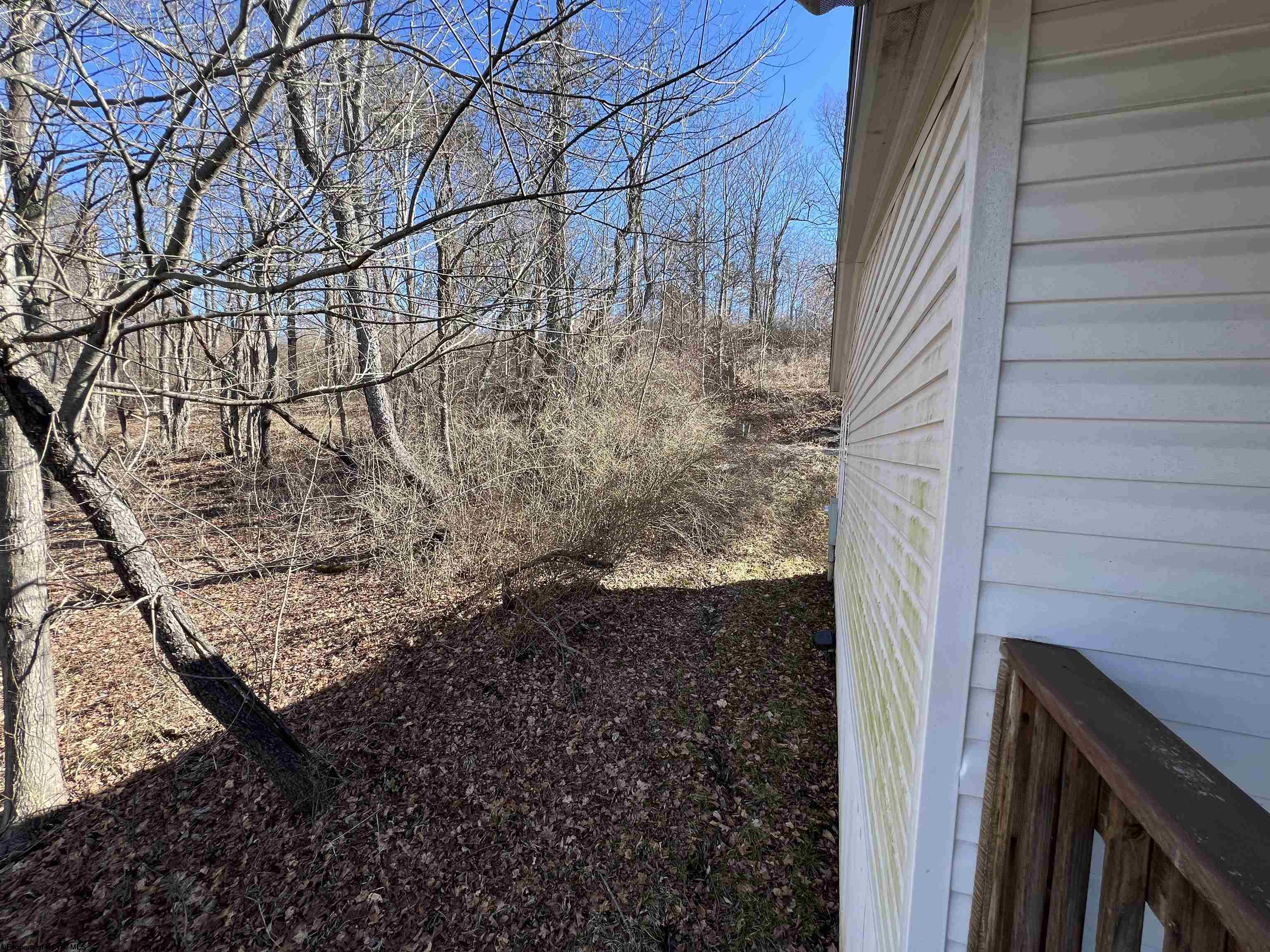 45 Pinnacle Avenue Elkins WV 26241