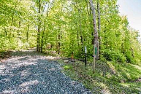 434 Cabin Mountain Road Davis WV 26260