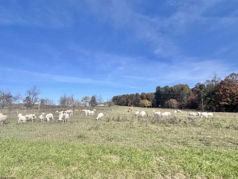 150 Palmer Lane Romney WV 26757