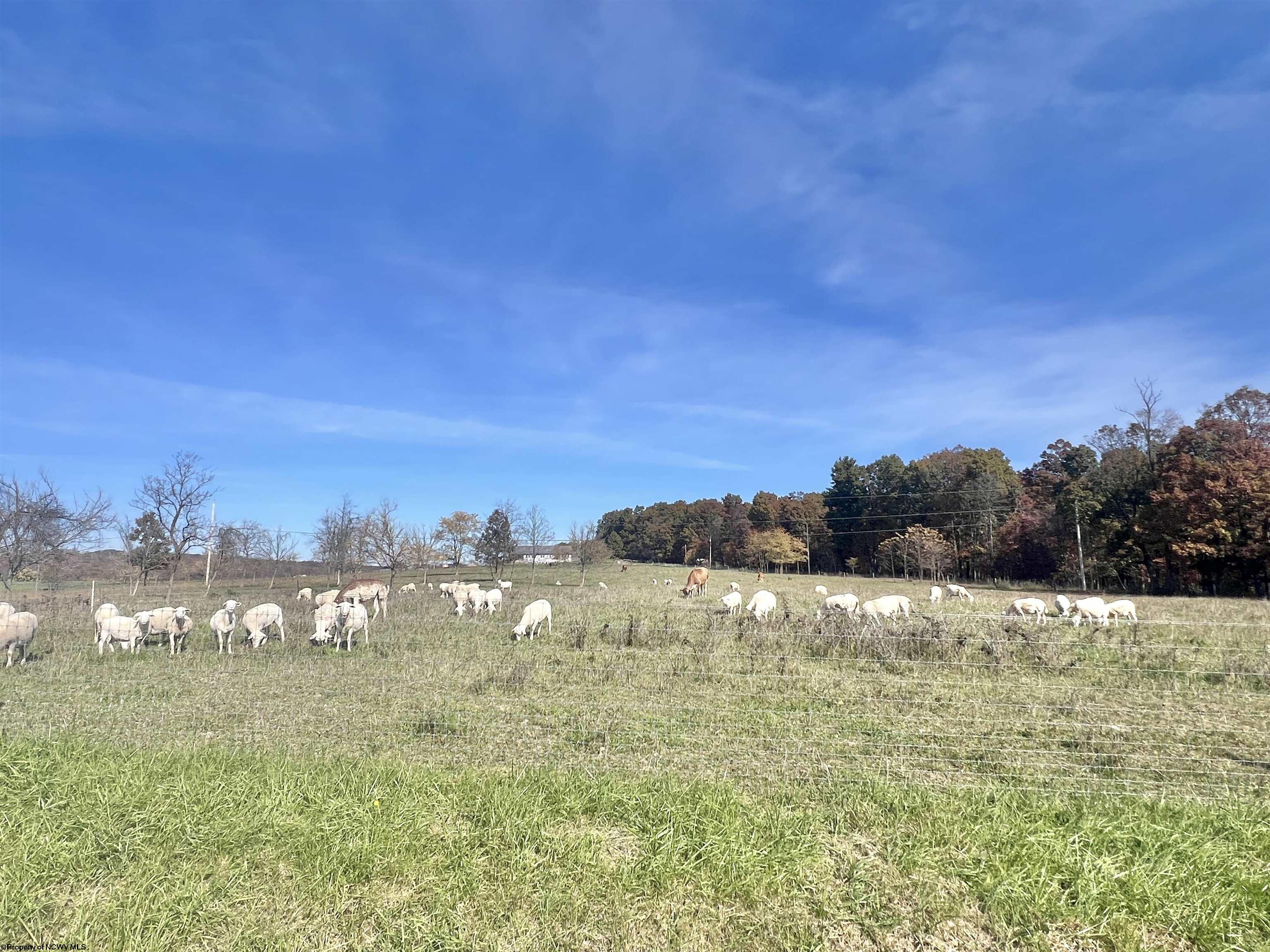 150 Palmer Lane Romney WV 26757