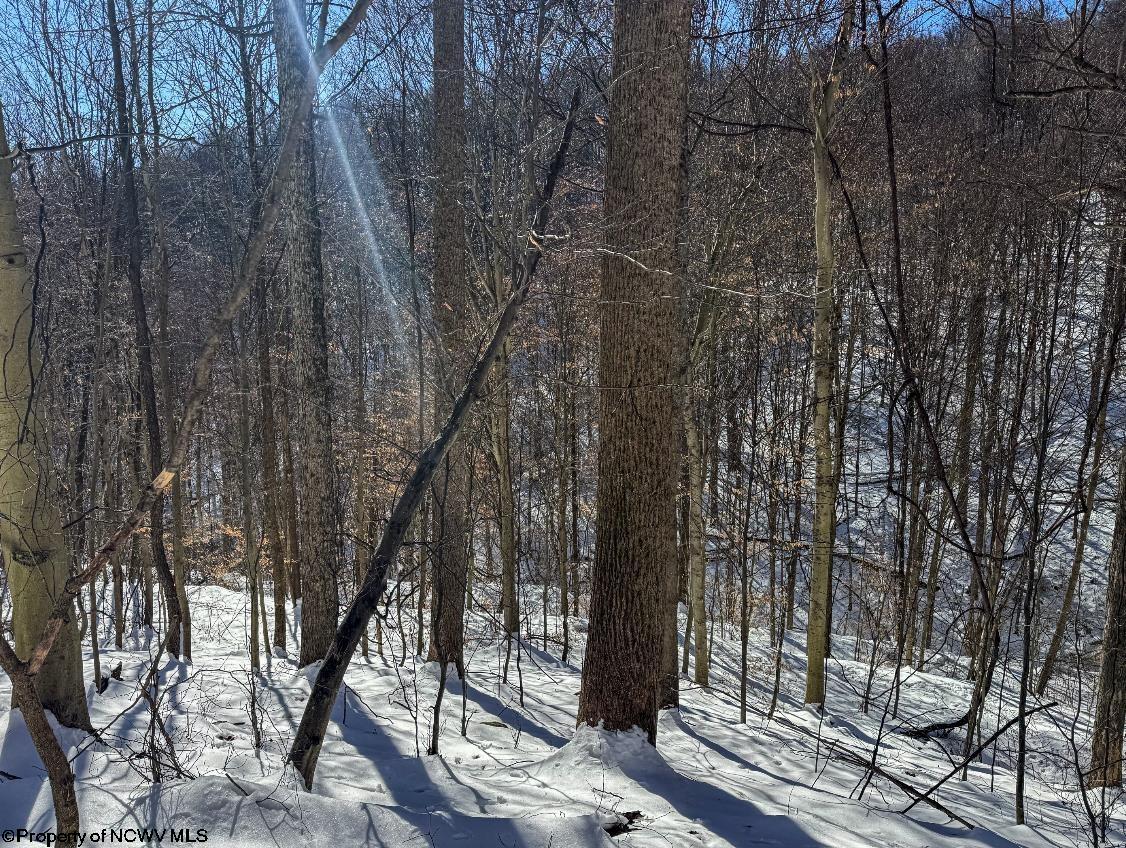 0 Starkey Run Mannington WV 26582