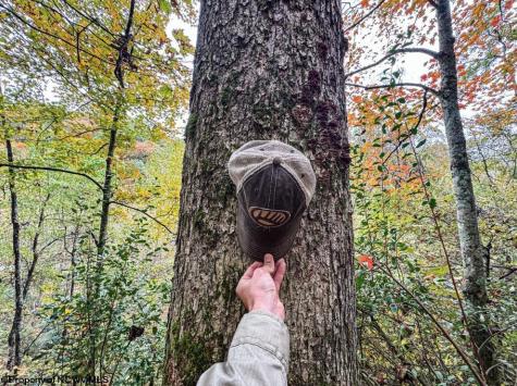 4054 Piney Fork Road Pine Grove WV 26419