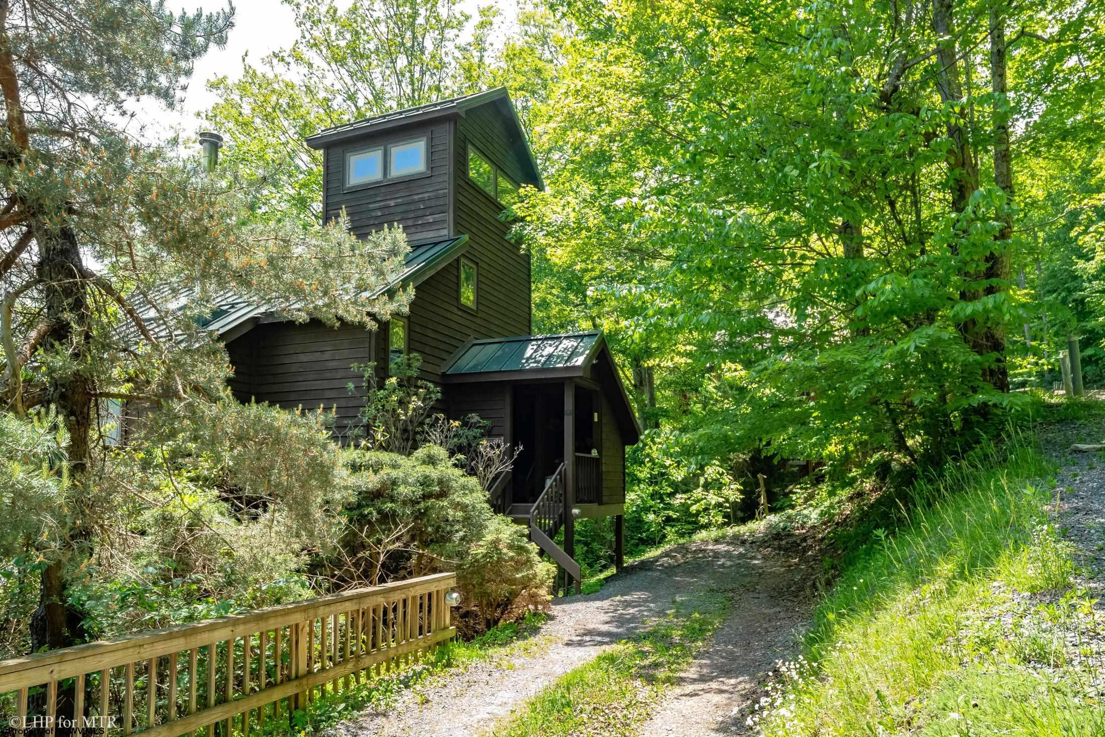 65 Snow Run Road Davis WV 26260