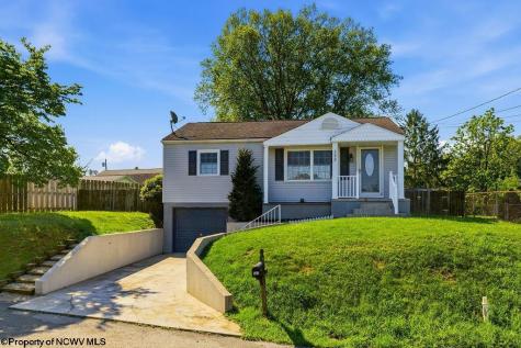 533 Watson Street Bridgeport WV 26330-9999
