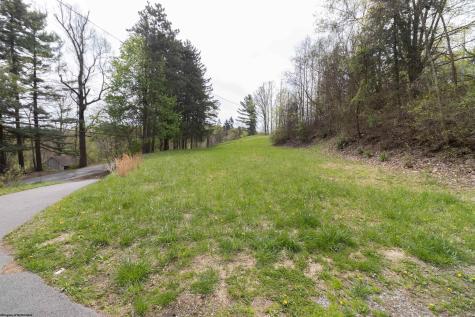 142 Pinch Gut Hollow Road Fairmont WV 26554-9376