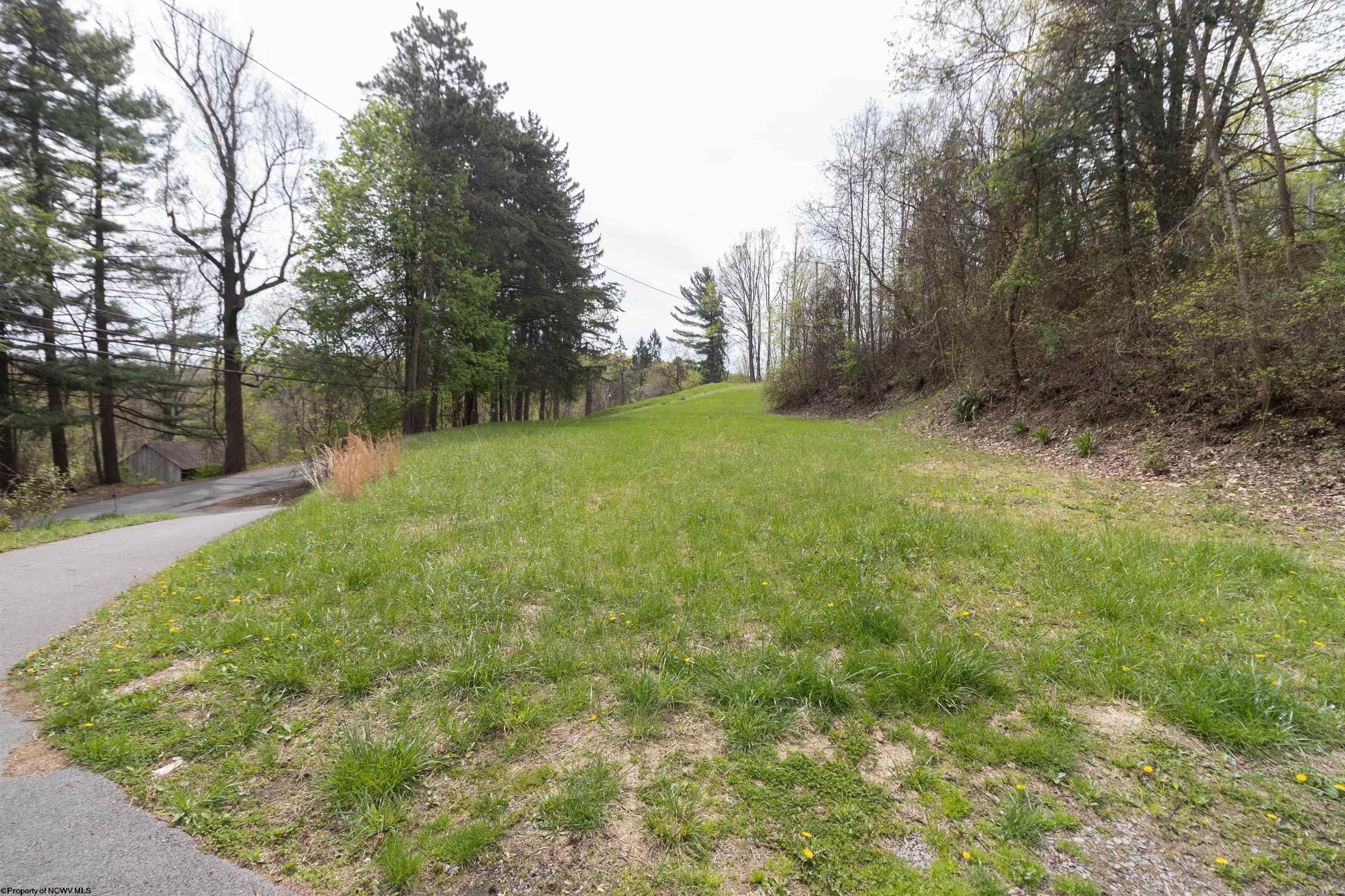142 Pinch Gut Hollow Road Fairmont WV 26554-9376