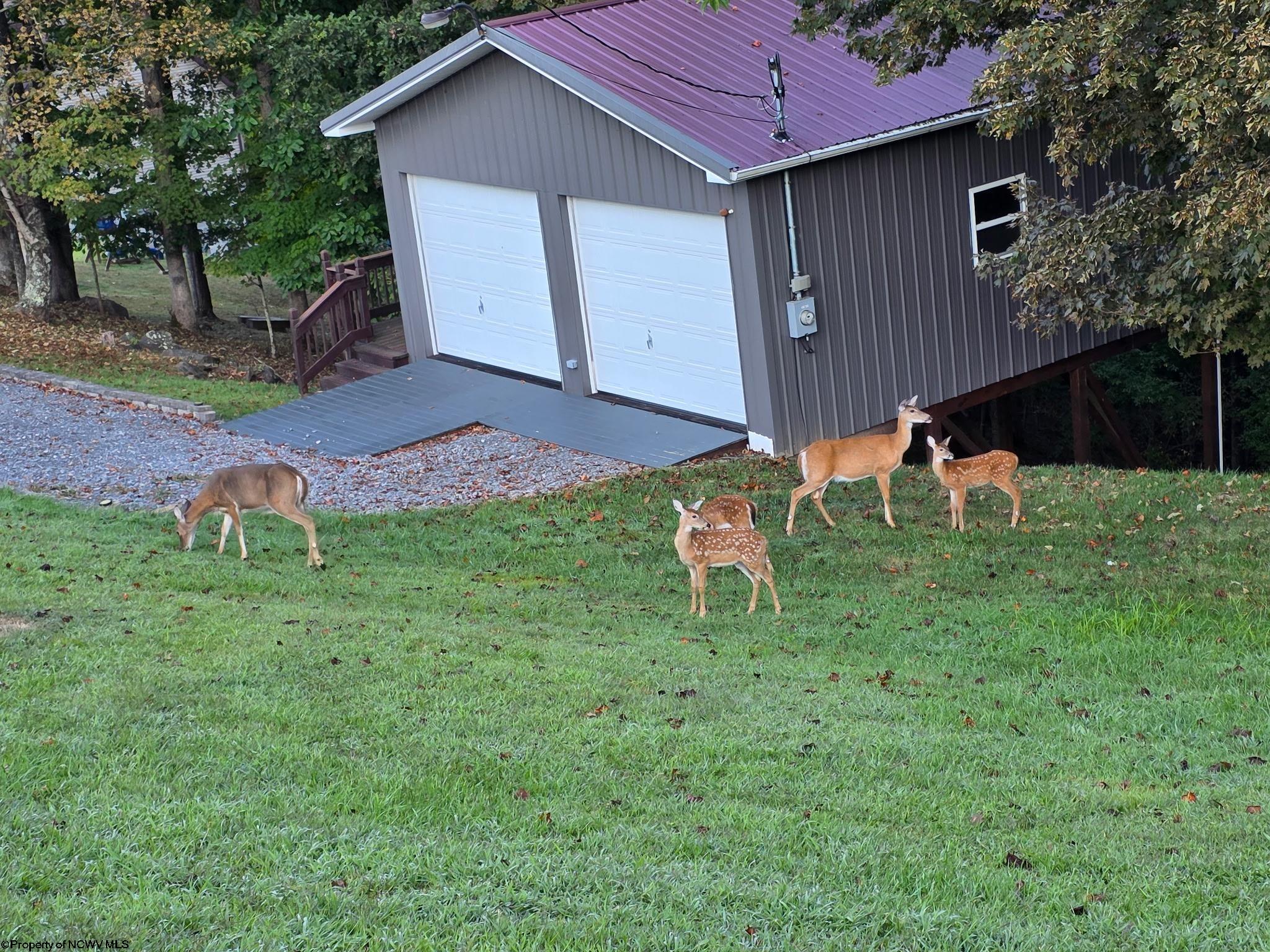 427 Harley Brown Drive Flatwoods WV 26621