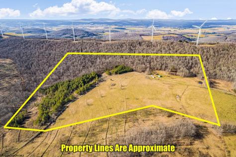 465 King Wildesen Road Oakland MD 21550