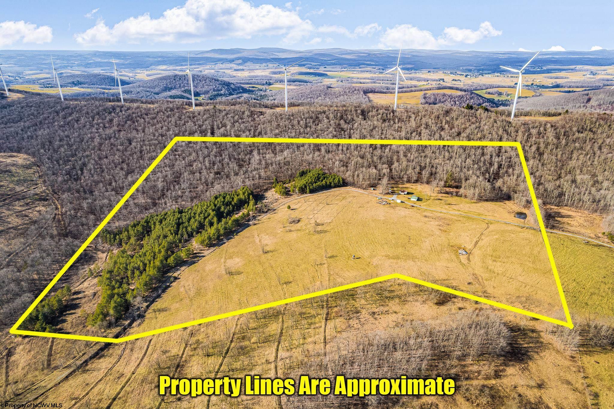 465 King Wildesen Road Oakland MD 21550