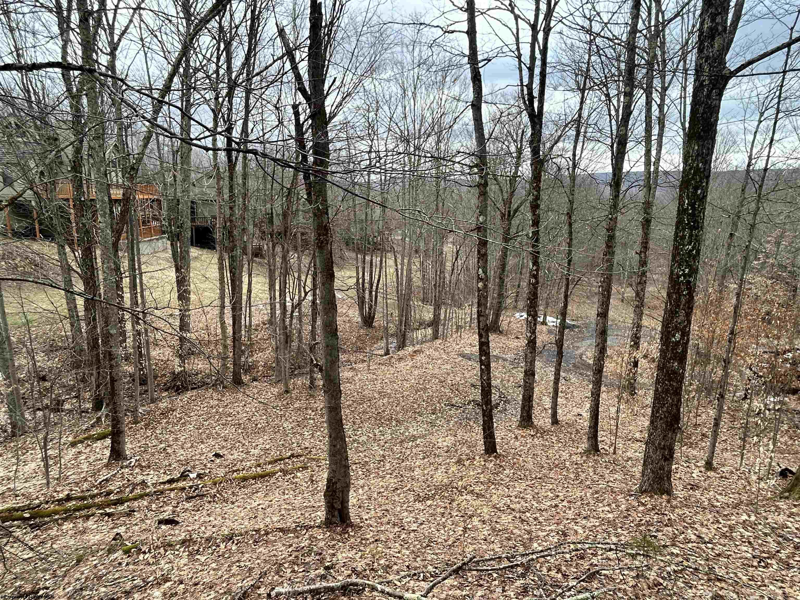 97 Grizzly Way Davis WV 26260