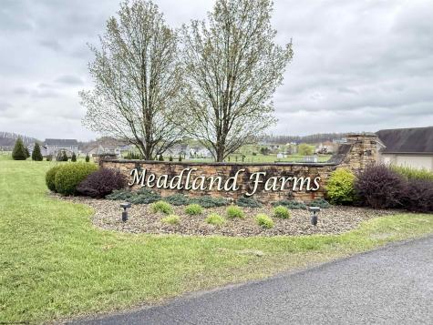 648 Ashberry Drive Flemington WV 26347