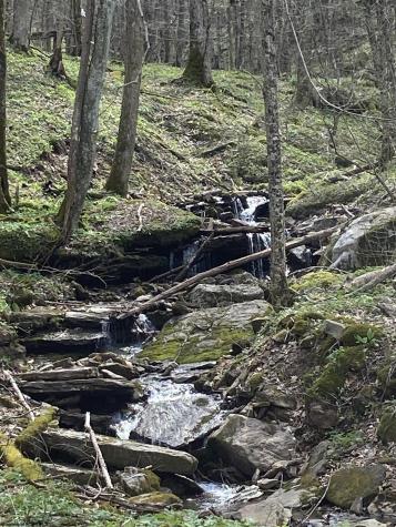 789 Eagles Nest Road Elkins WV 26241