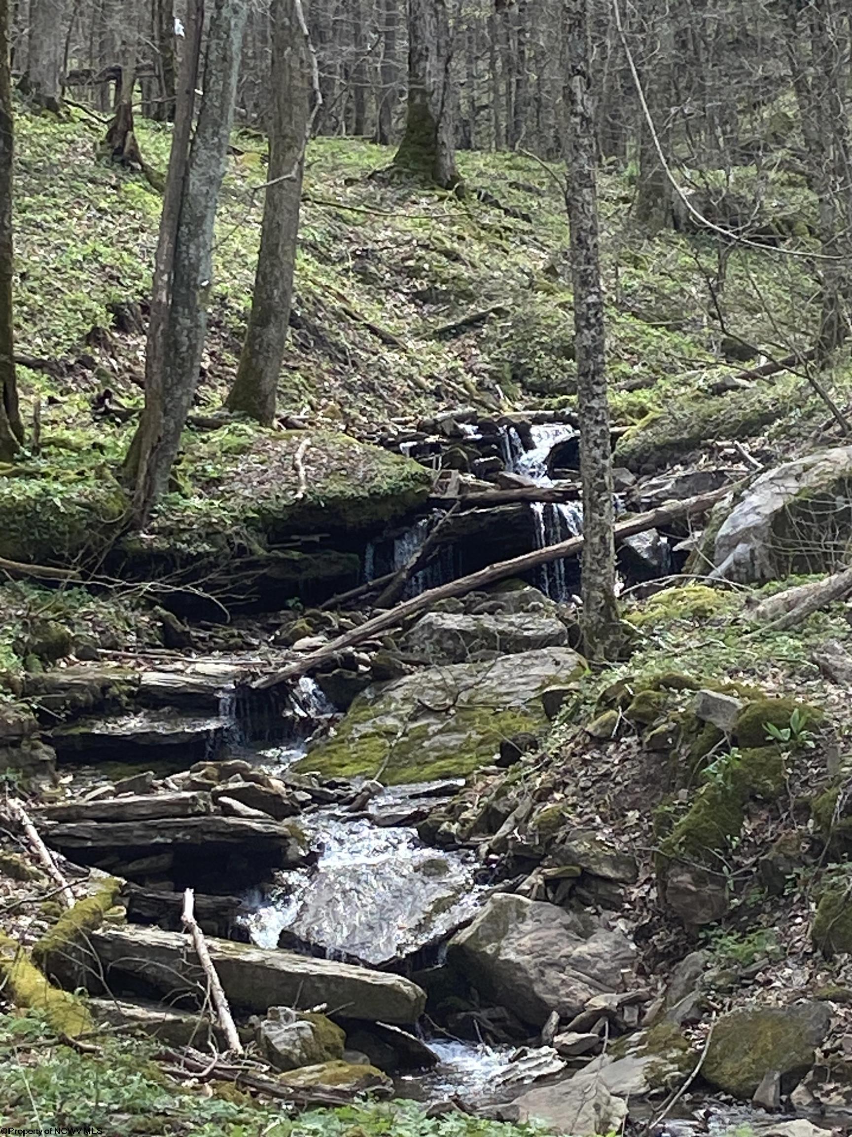 789 Eagles Nest Road Elkins WV 26241