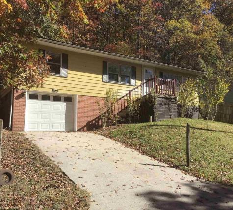 42 Anglins Run Drive Philippi WV 26416-9415